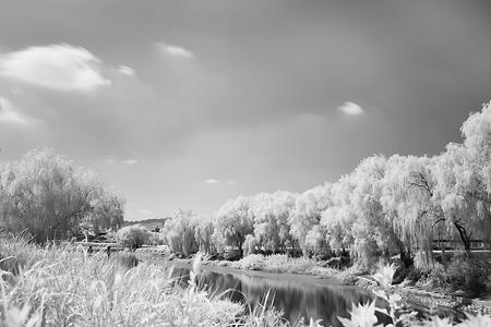 사진예술중급 이미지